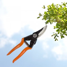 Pruning Secateurs