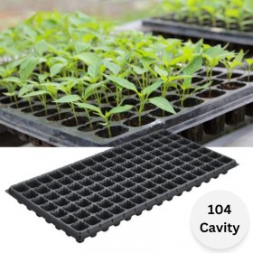 Seedling Tray