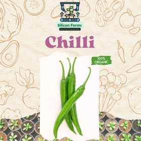 Green Chilli pack