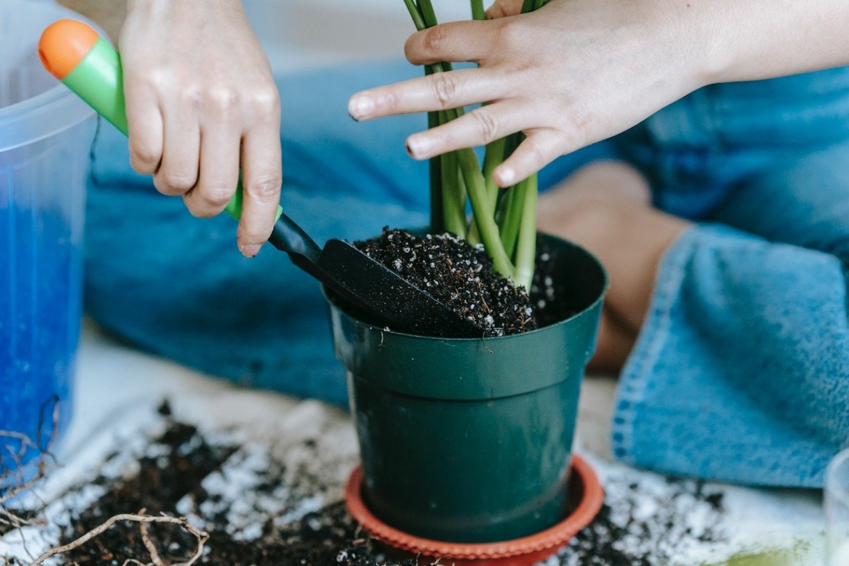 Biofertilizers and its importance to the organic garden