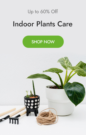 User our plant care methods using the best pesticides 